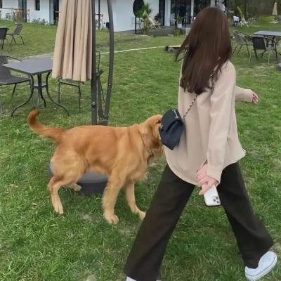 生育的世纪