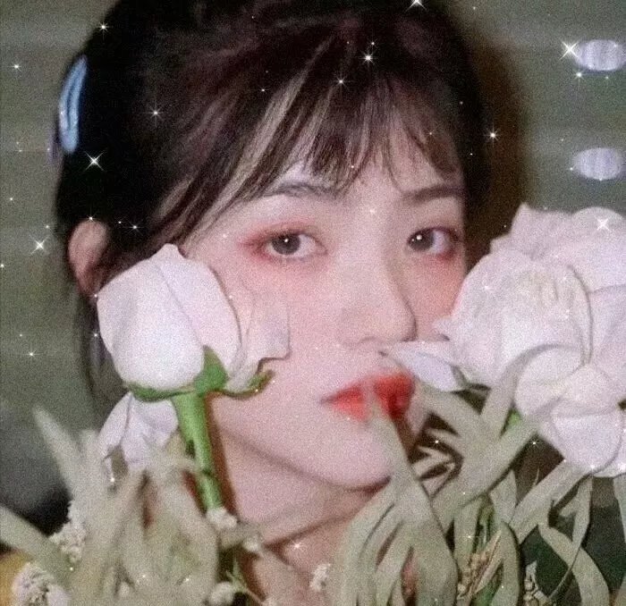 森林之北